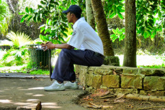 Mauritius-24-11-pic09