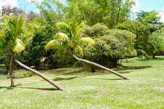 Mauritius-24-11-pic14