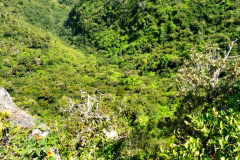 Mauritius-26-11-pic03