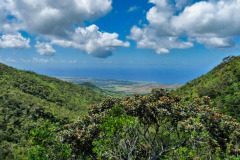Mauritius-26-11-pic05
