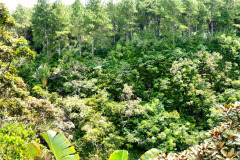 Mauritius-26-11-pic06