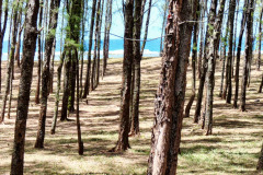 Mauritius-27-11-pic06