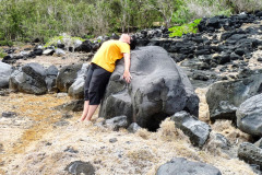 Mauritius-27-11-pic21