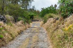 Mauritius-27-11-pic23