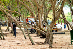 Mauritius-28-11-pic12