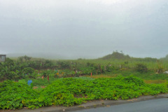 Mauritius-28-11-pic19