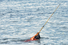 Lombok-10-11-12_G