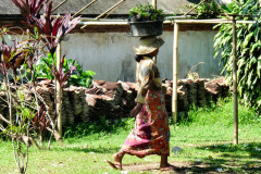 Lombok-11-11-12_G