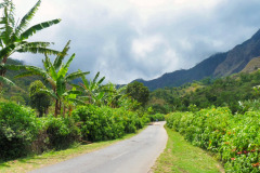 Lombok-11-11-22_G