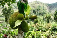 Lombok-11-11-23_G