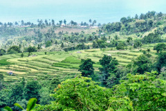 Lombok-11-11-29_G