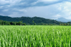 Lombok-11-11-31_G
