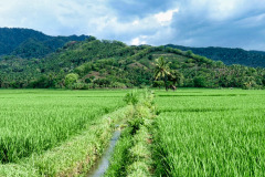 Lombok-11-11-32_G