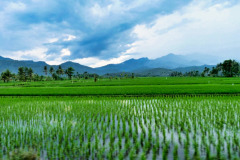 Lombok-11-11-34_G