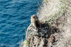 Lombok-11-11-38_G