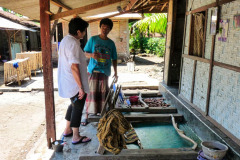 Lombok-14-11-19_G