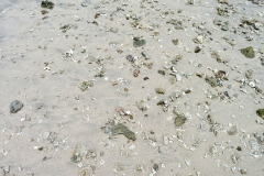 Lombok-17-11-12_G