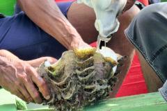 Lombok-17-11-19_G
