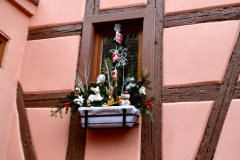 Elsass2013-pic03