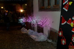 Elsass2013-pic16