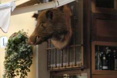 2013-Florenz-pic46