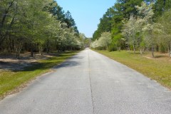 USA-South-La-Grange-Lake-Seminole-bild03