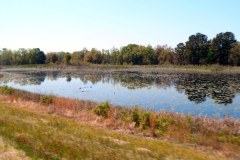 USA-South-La-Grange-Lake-Seminole-bild08