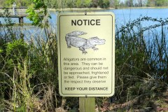 USA-South-La-Grange-Lake-Seminole-bild11