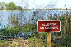 USA-South-La-Grange-Lake-Seminole-bild12