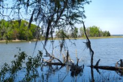 USA-South-La-Grange-Lake-Seminole-bild14
