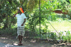 Seychellen13-11-13-pic15