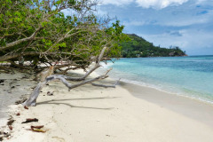 Seychellen10-11-13-pic15