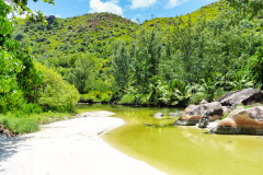 Seychellen11-11-13-pic10