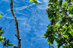 Seychellen12-11-13-pic26