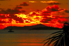Seychellen12-11-13-pic31