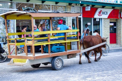 Seychellen14-11-13-pic07
