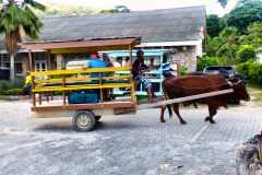 Seychellen14-11-13-pic08
