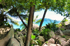 Seychellen15-11-13-pic05