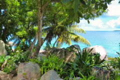 Seychellen15-11-13-pic07