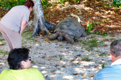Seychellen15-11-13-pic08