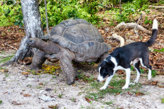 Seychellen15-11-13-pic09
