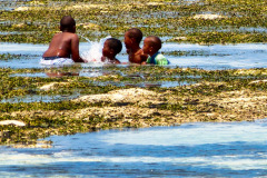 Seychellen16-11-13-pic04