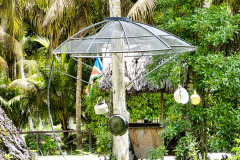 Seychellen16-11-13-pic07