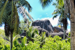 Seychellen16-11-13-pic12