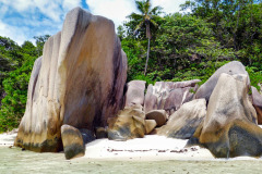 Seychellen16-11-13-pic23