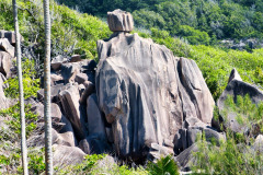 Seychellen17-11-13-pic10