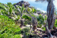 Seychellen17-11-13-pic12
