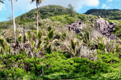 Seychellen17-11-13-pic20