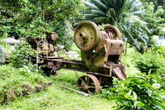 Seychellen17-11-13-pic22