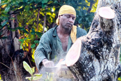 Seychellen18-11-13-pic15